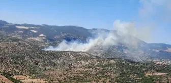 Aydın'da Yangına Hava ve Karadan Müdahale