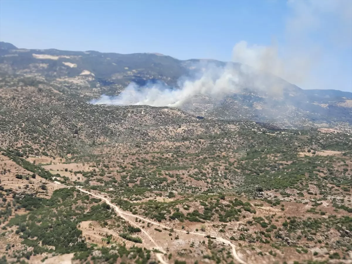 Aydın'da Yangına Hava ve Karadan Müdahale