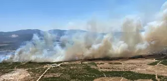 Didim'de Makilik Alanda Yangın Çıktı