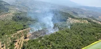 Aydın'da Orman Yangını: Havadan ve Karadan Müdahale Devam Ediyor