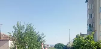 Nazilli'de Renkli Sünnet Düğünü Konvoyu