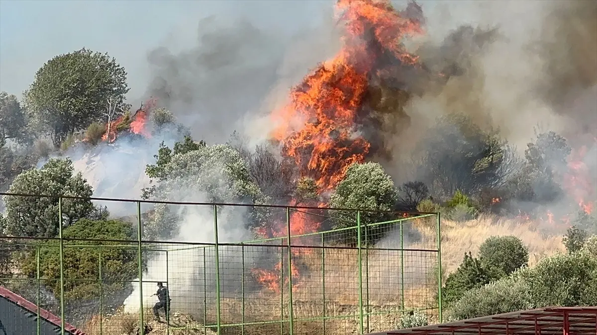 Aydın'da Tarım Alanlarında Yangınlar Çıktı