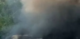 Çanakkale'de Arızalanan Minibüsten Ormana Sıçrayan Yangın Kontrol Altına Alındı