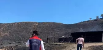 Çanakkale Ayvacık'ta Yangın Sonrası Hasar Tespit Çalışmaları Sürüyor