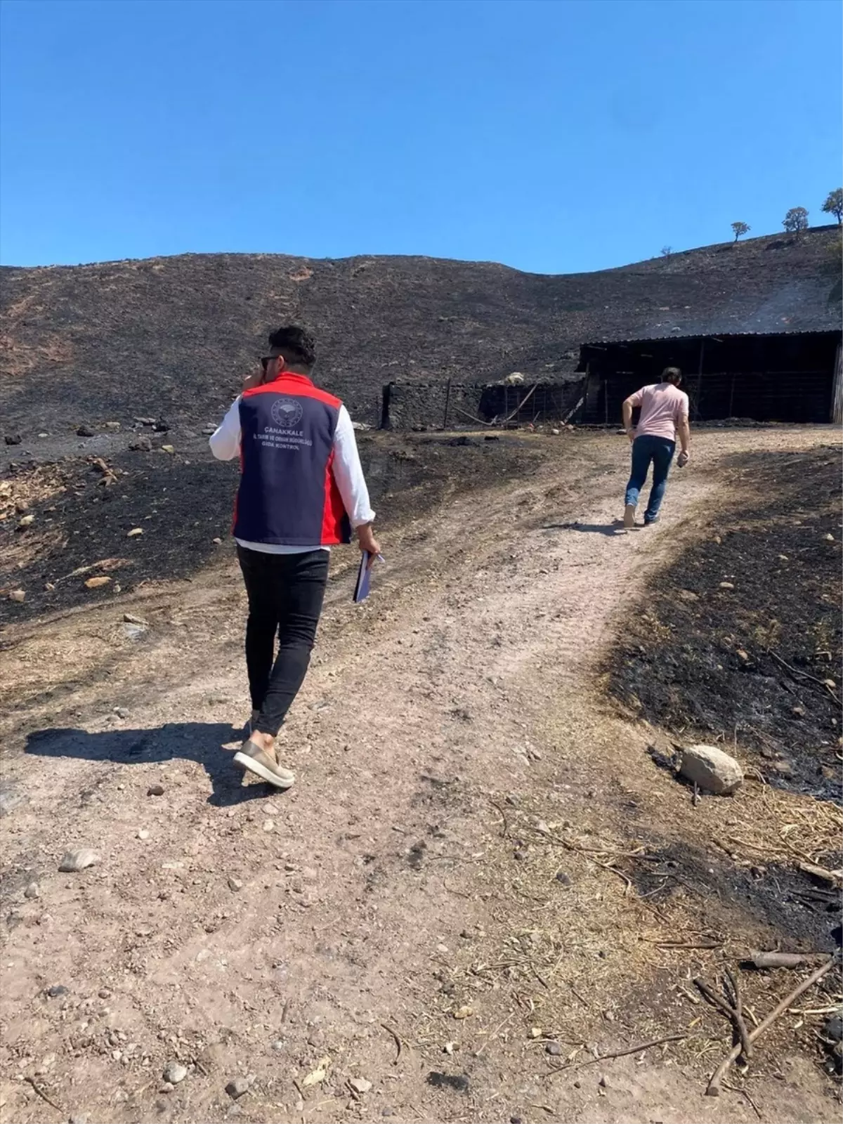 Çanakkale Ayvacık'ta Yangın Sonrası Hasar Tespit Çalışmaları Sürüyor