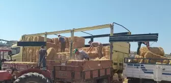 Ayvacık'ta Yangın Mağdurlarına Saman Desteği