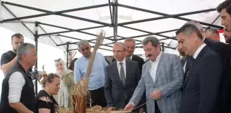 Bafra Ovası'nda Çeltik Ekimi Başladı, Geleneksel Etkinlik Gerçekleşti