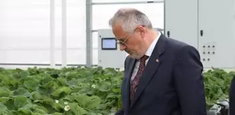 Bafra Sera OSB 1500 kişiye iş imkanı sağlayacak