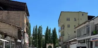 Bahçesaray Kaymakamı Asfaltlama ve Kanalizasyon Çalışmalarını Denetledi
