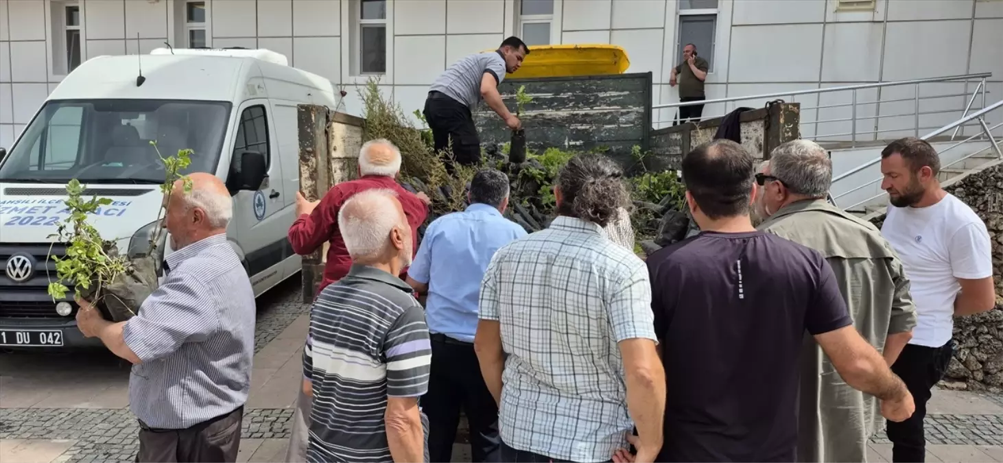 Bahşılı'da 2 Bin Fidan Dağıtıldı