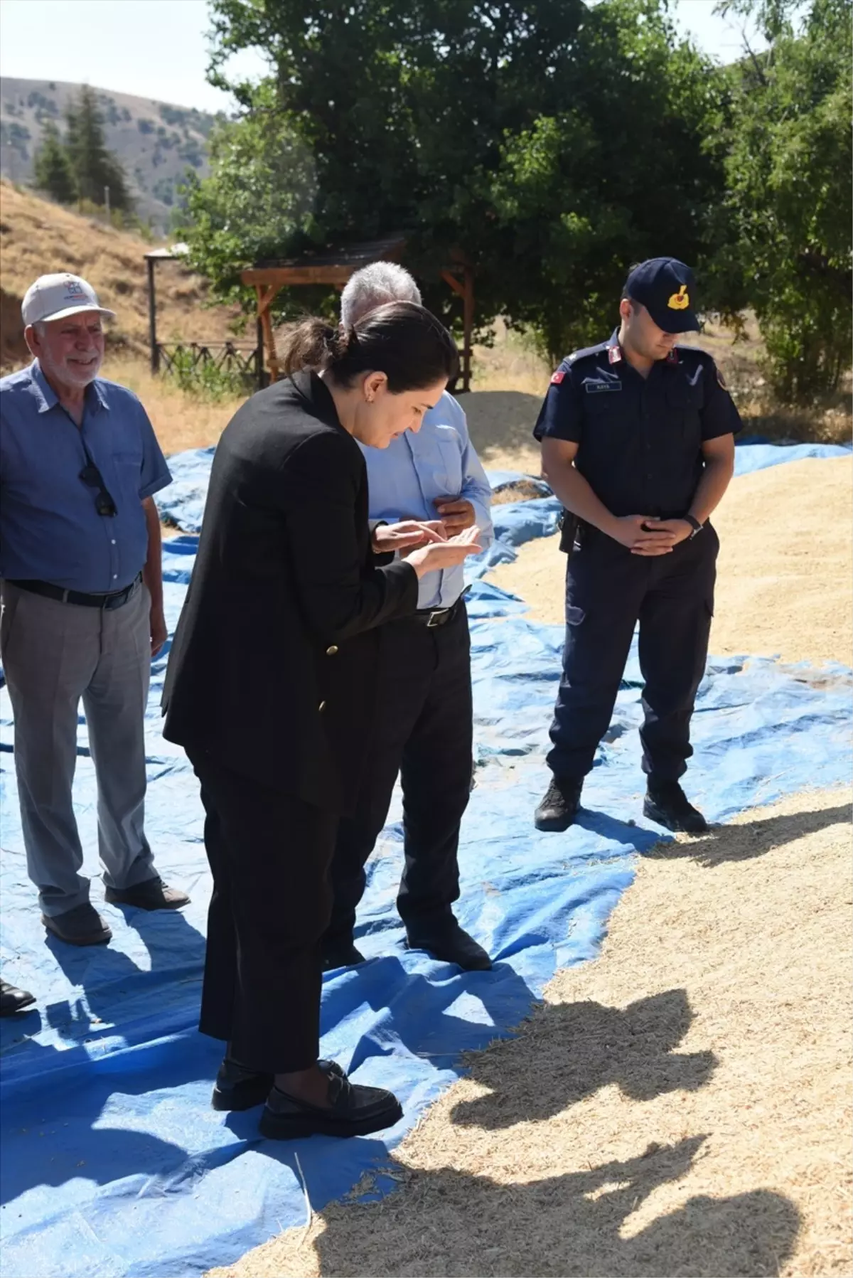 Bahşılı Kaymakamı Fidan Bozkır, Buğday Hasadına Katıldı