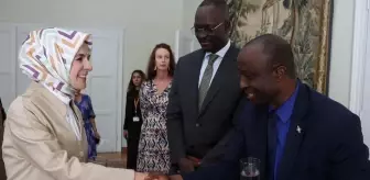 Aile ve Sosyal Hizmetler Bakanı Göktaş'tan Frankofon Büyükelçilere Aile Diplomasisi Sunumu