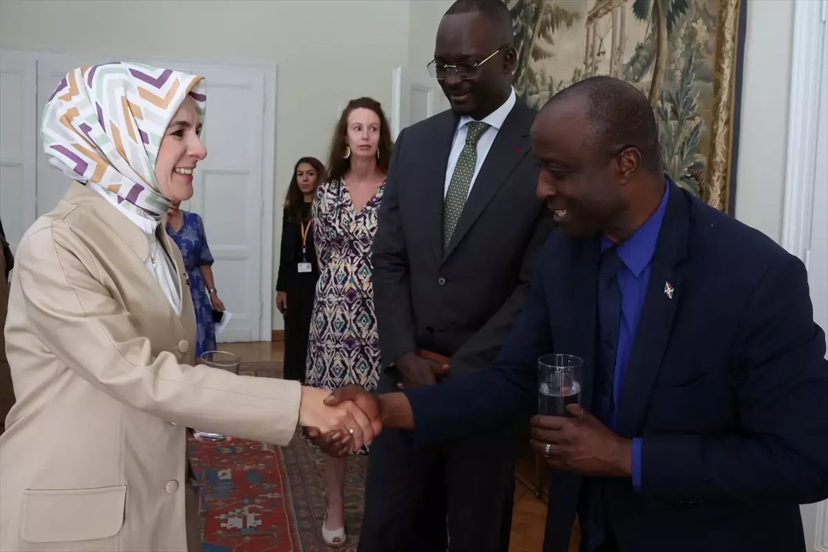 Aile ve Sosyal Hizmetler Bakanı Göktaş'tan Frankofon Büyükelçilere Aile Diplomasisi Sunumu