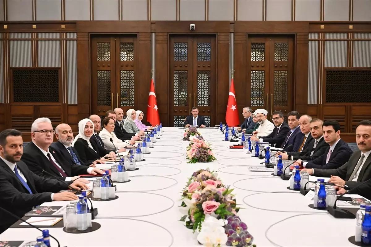 Aile ve Sosyal Hizmetler Bakanlığı, Ulusal Demografi Stratejisi için Altı Çalışma Grubu Kurdu