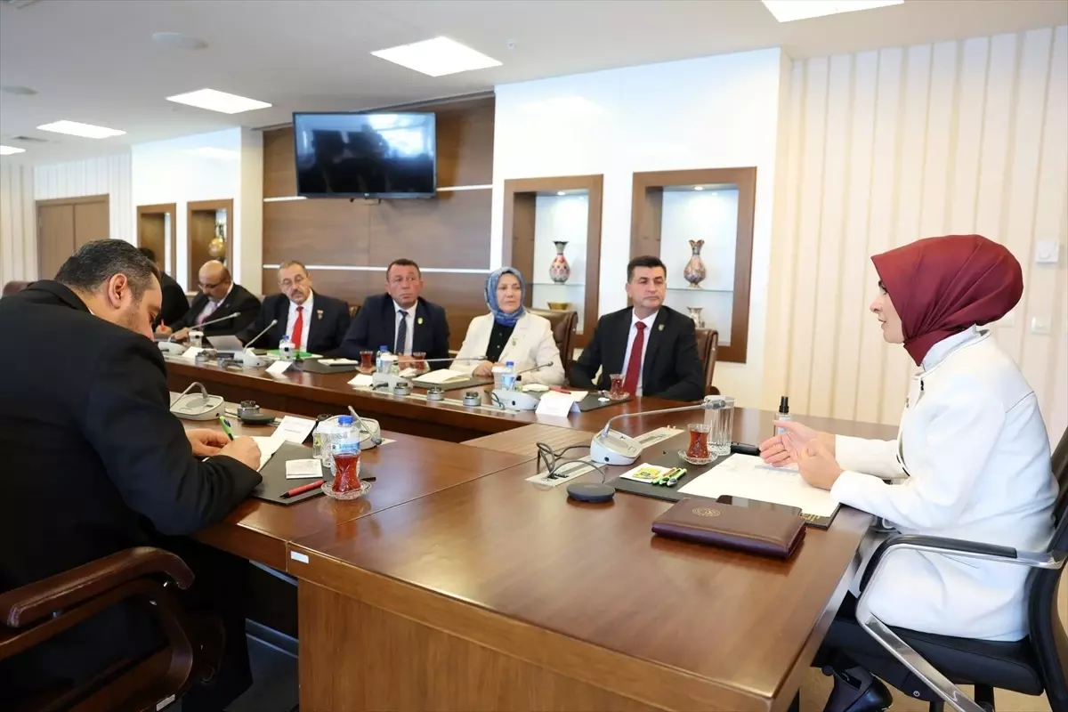 Bakan Göktaş, Türkiye Harp Malulü Gaziler, Şehit Dul ve Yetimleri Derneği yöneticilerini kabul etti Açıklaması