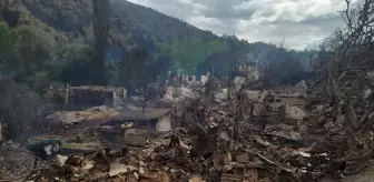 Bilecik'teki Orman Yangınlarında 70 Yapı Yandı