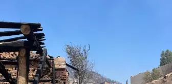 Geyve'deki Orman Yangınında 12 Bağımsız Bölüm Yıkık ve Ağır Hasar Aldı