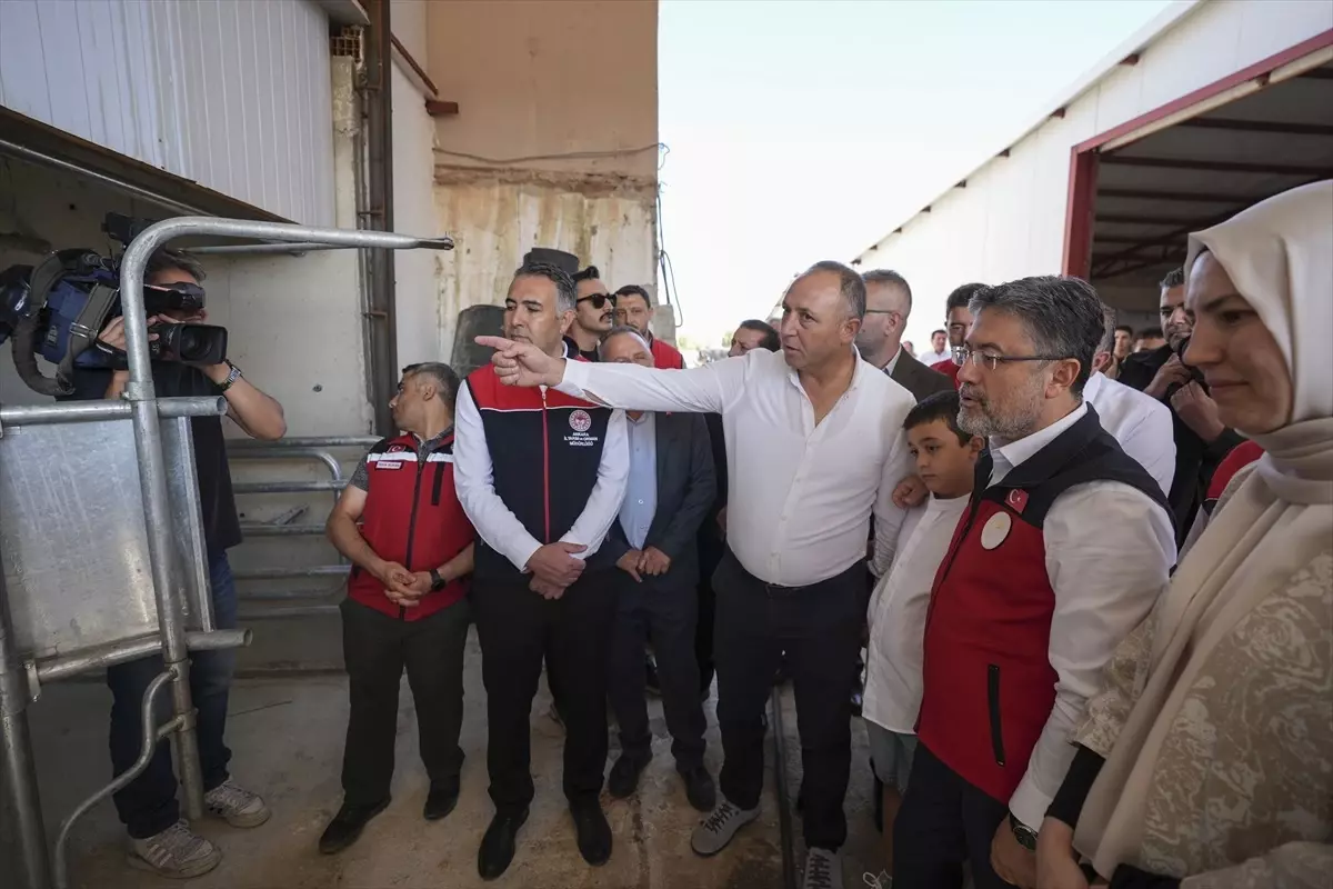 Bakan Yumaklı 'Güçlü Besi Güçlü Üretim Projesi'ni açıkladı Açıklaması