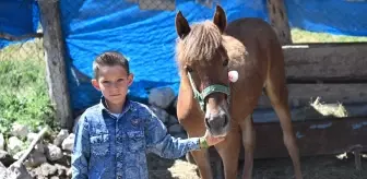 8 Yaşındaki Eyüphan'ın 'Nazlı' Tayına Bakan Yardımıyla Tedavi