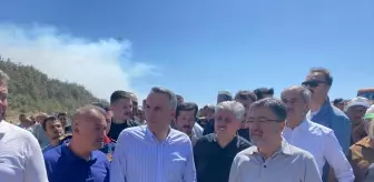 Sakarya ve Bilecik'teki Orman Yangınları: 3 Gözaltı