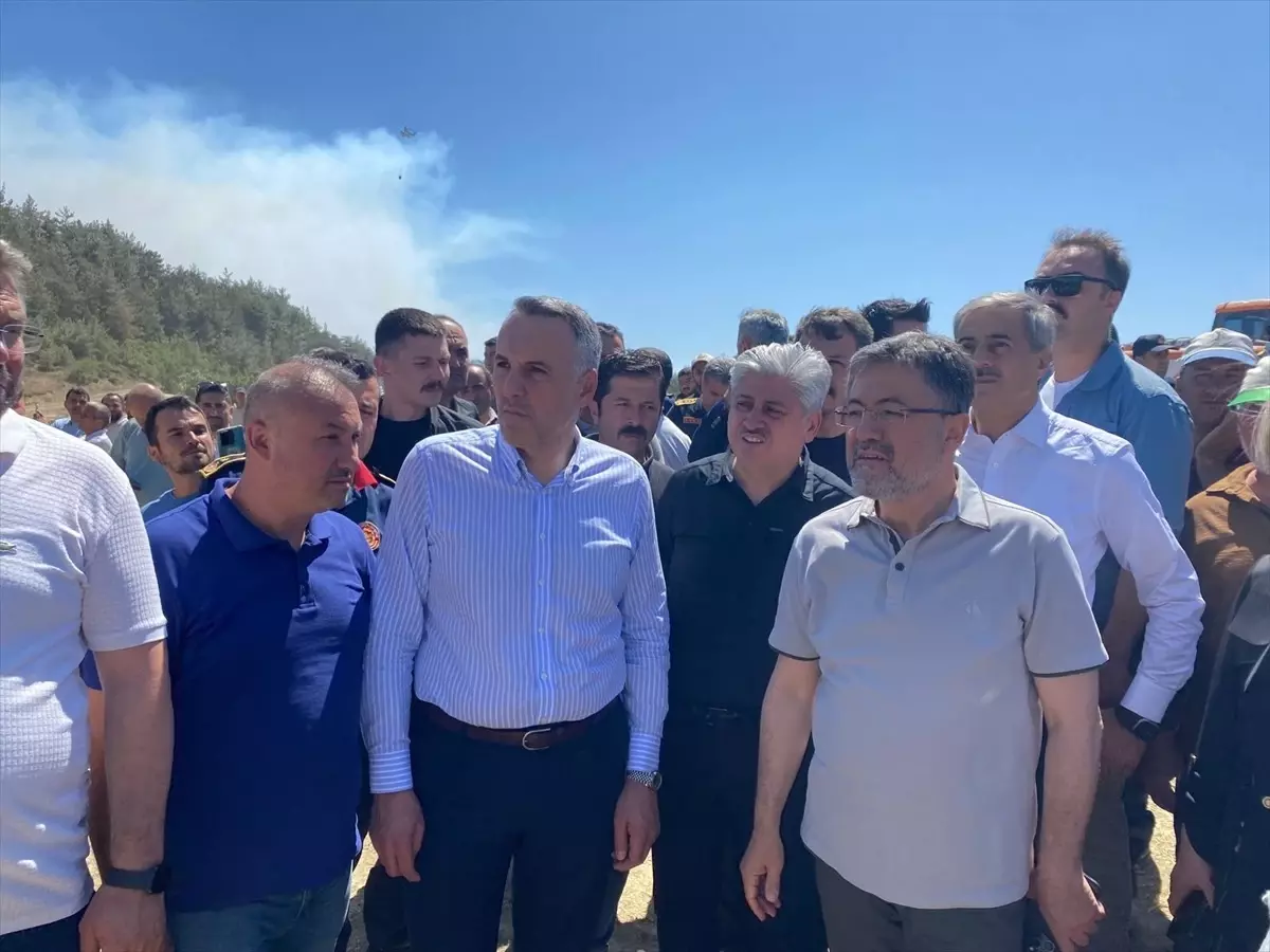 Sakarya ve Bilecik'teki Orman Yangınları: 3 Gözaltı