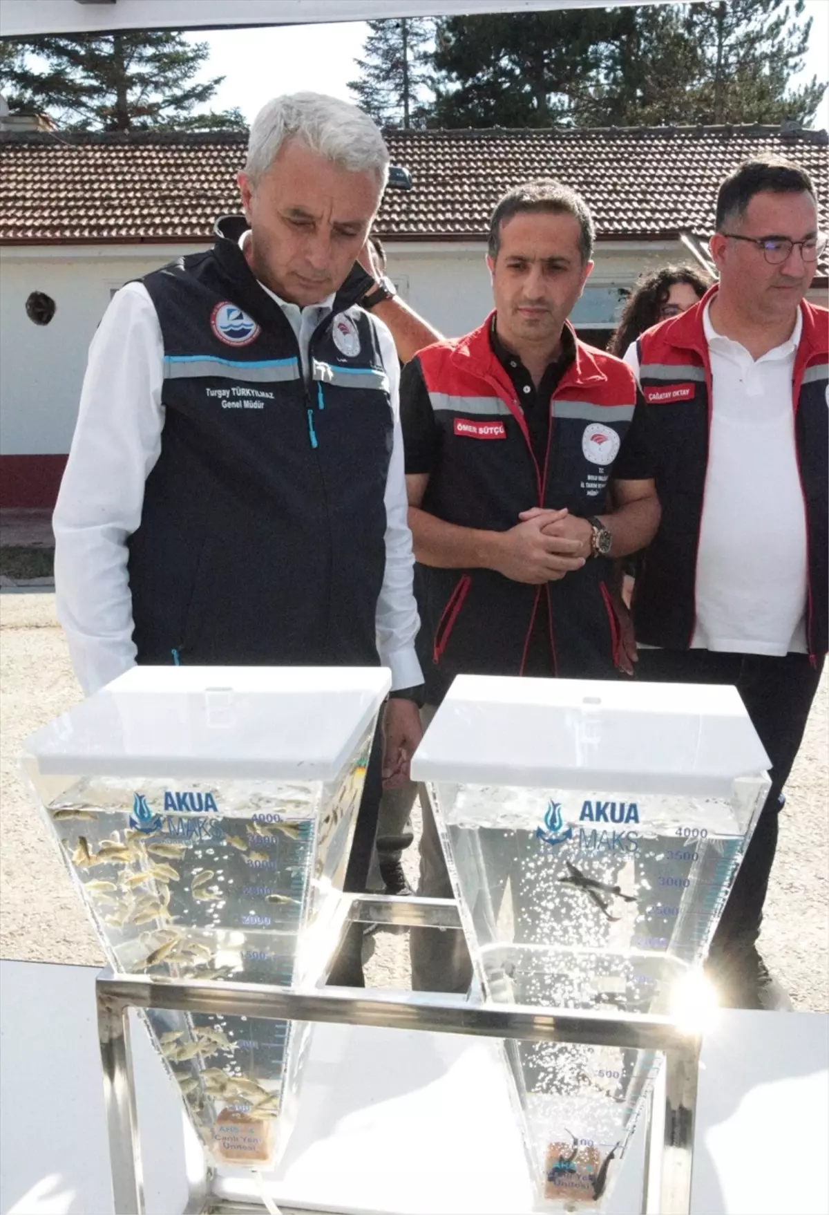 Mersin Balığı Üretiminde Yeni Hedefler