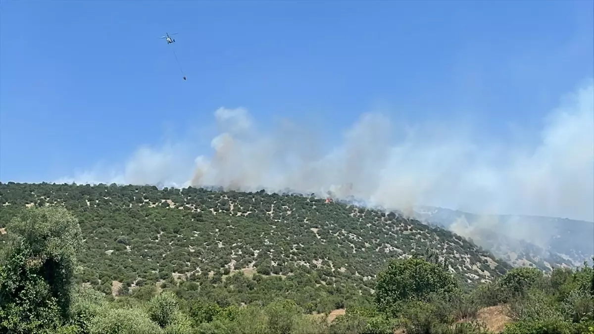 Balıkesir Karesi'de Arazide Yangın: Hava ve Karadan Müdahale Başladı