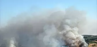 Susurluk'ta Arazi Yangını Kontrol Altına Alınmaya Çalışılıyor