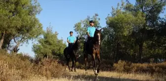 Balıkesir'de Orman Yangınlarıyla Mücadele İçin Denetimler Arttırıldı
