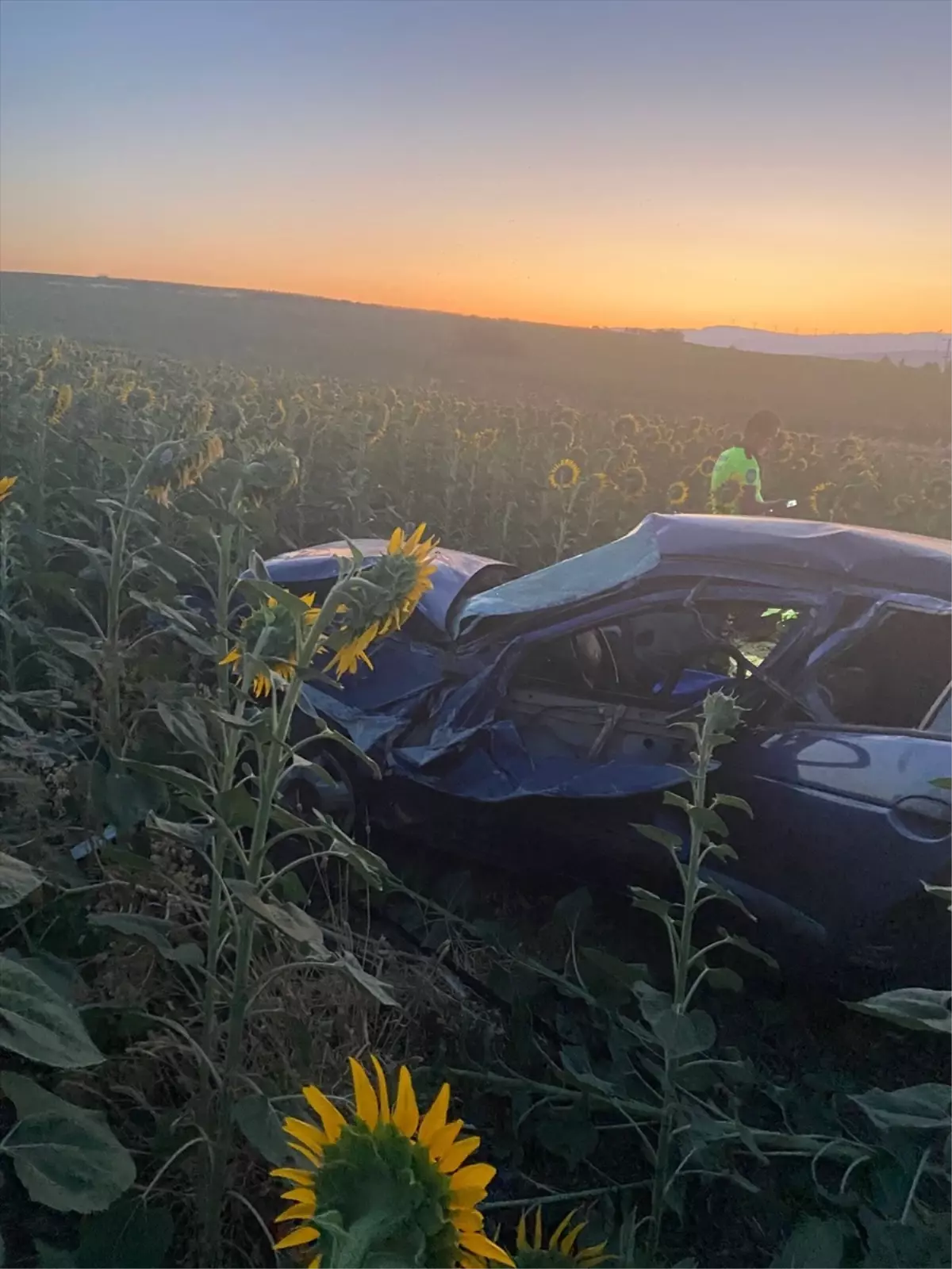 Balıkesir'de Otomobilin Ayçiçeği Tarlasına Devrilmesi Sonucu 3 Yaralı