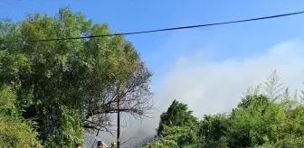 Edremit'te Tarım Arazisi Yangını Kontrol Altına Alındı