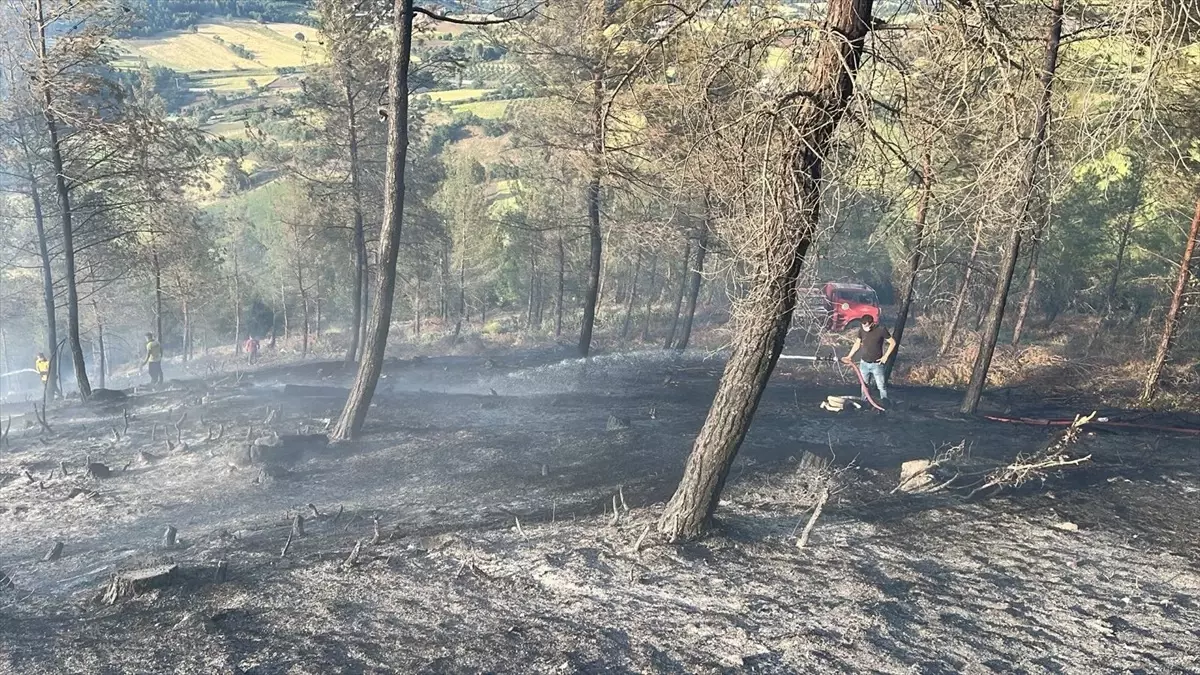 Dursunbey'de Orman Yangını Kontrol Altına Alındı