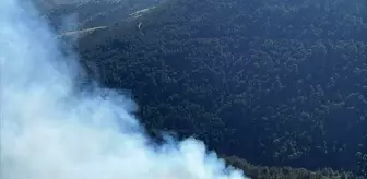 Balıkesir Bigadiç'te Orman Yangını Kontrol Altına Alındı