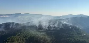 Sındırgı'daki Orman Yangını Kontrol Altına Alındı