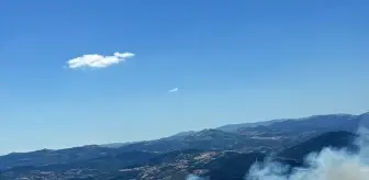 Balıkesir'de Yangın Kontrol Altına Alınıyor