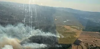 Balıkesir'de Orman Yangını Kontrol Altına Alınıyor
