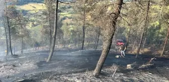 Balıkesir Dursunbey'de Orman Yangını Kontrol Altına Alınmaya Çalışılıyor