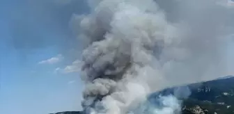 Balıkesir'de Orman Yangını Kontrol Altına Alınmaya Çalışılıyor