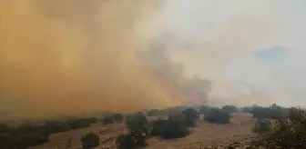 Balıkesir'de Orman Yangınına Hızla Müdahale Ediliyor