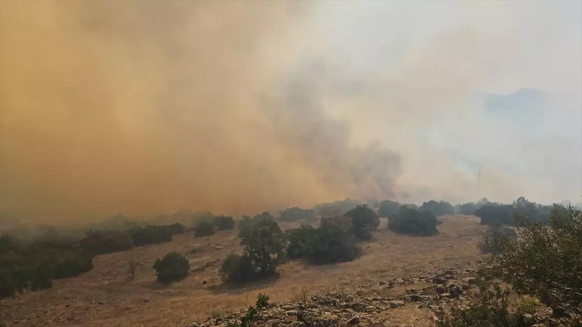 Balıkesir'de Orman Yangınına Hızla Müdahale Ediliyor