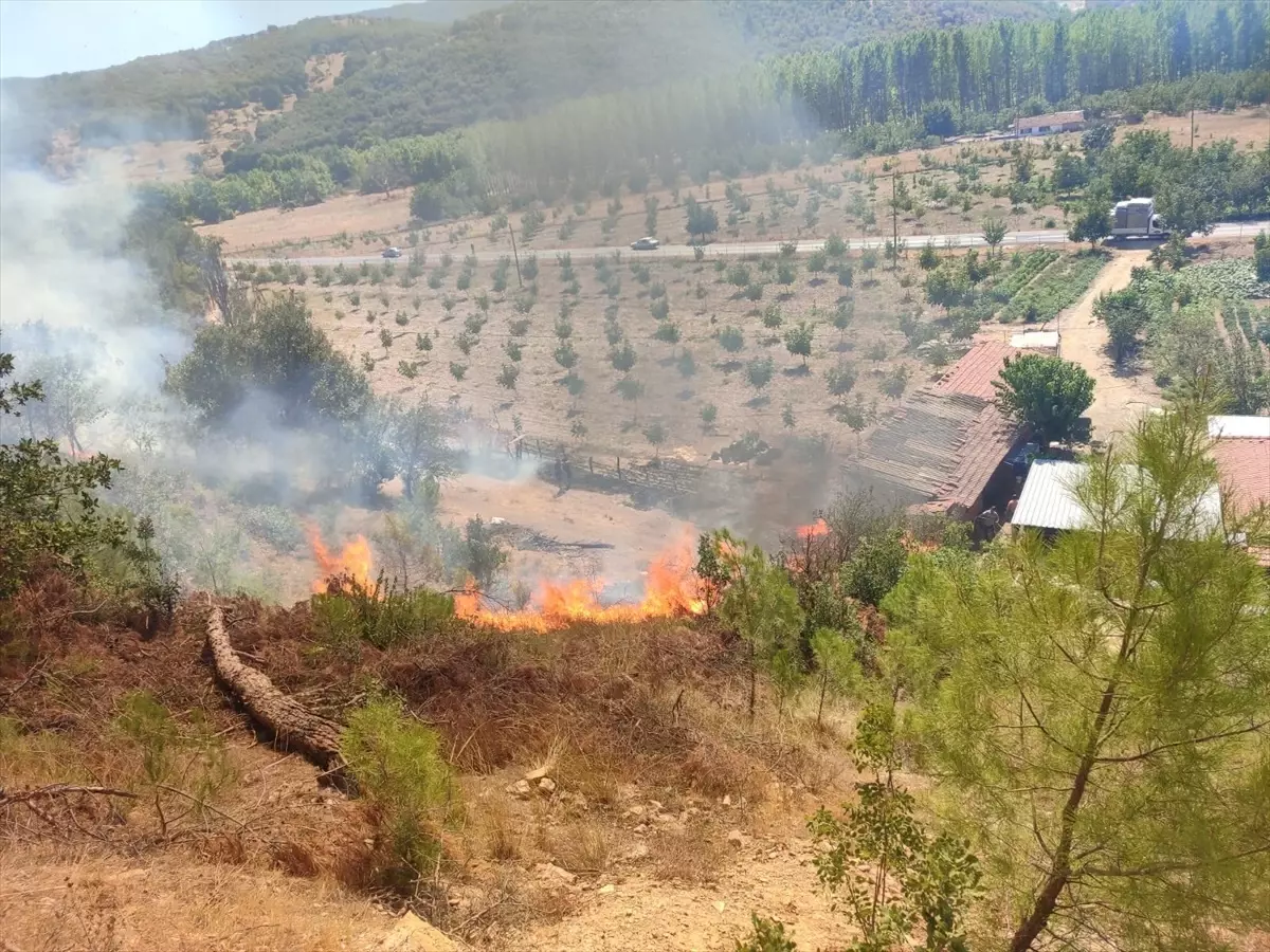 Balıkesir'de Orman Yangını Kontrol Altına Alınmaya Çalışılıyor