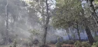 Balıkesir İvrindi'de Orman Yangını Kontrol Altına Alındı