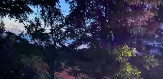 Balıkesir'de Trafik Kazası: 3 Ölü, 1 Yaralı