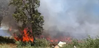 Balıkesir'de Sazlık Yangını Kontrol Altına Alındı