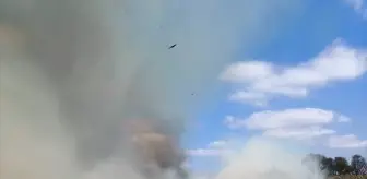 Manyas Gölü'nde Sazlık Alanında Yangın Söndürüldü