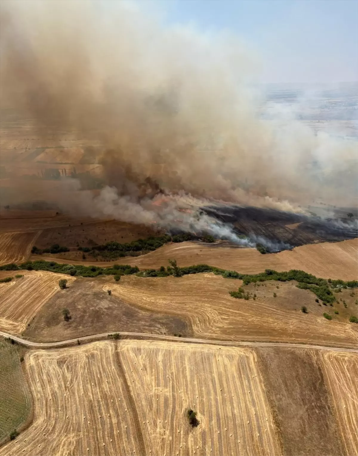 Balıkesir'in Kepsut İlçesinde Tarım Arazisinde Yangın