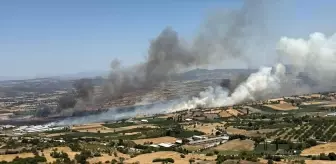 Balıkesir'de Tarım Arazisinde Yangın
