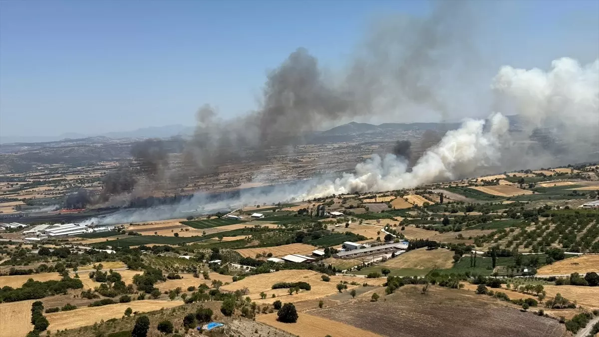 Balıkesir'de Tarım Arazisinde Yangın