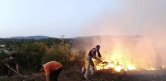 Balıkesir'de Tavuk Çiftliğinde Yangın