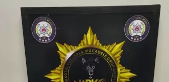Edremit'te Uyuşturucu Operasyonu: 1 Gözaltı